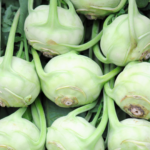 Kohlrabi or Knol Khol or Gath Gobhi or German Turnip
