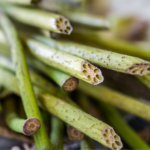 Lotus stem, Khushboo Jain Tibrewala, healthy, recipe