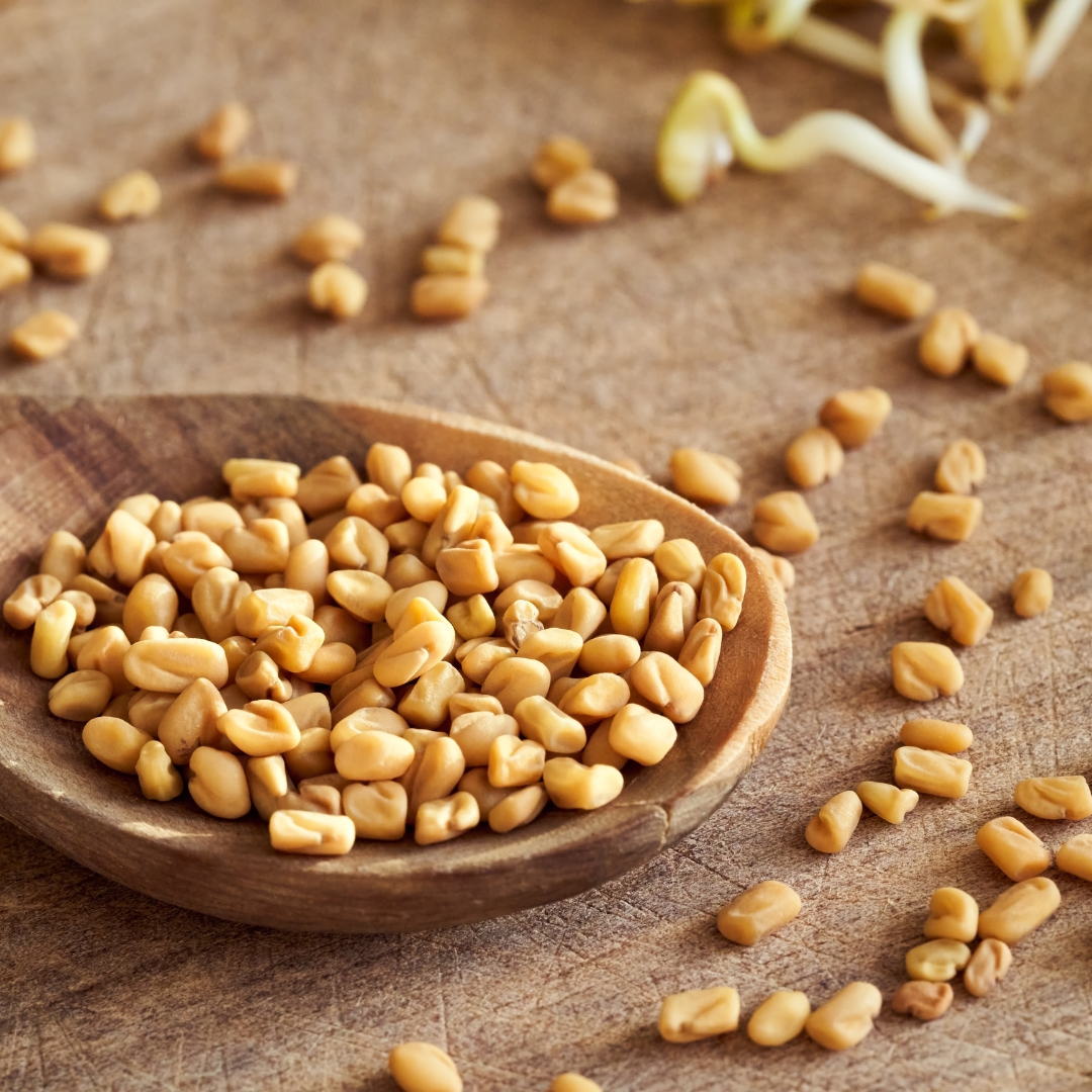 Fenugreek Seeds